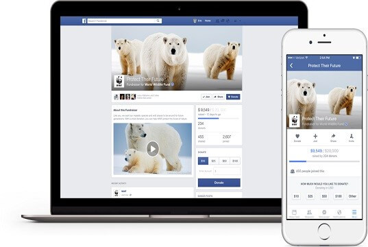 facebook fundraiser page